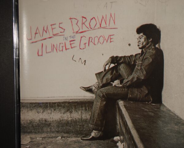 James Brown – In The Jungle Groove